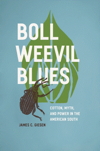 Boll Weevil book cover