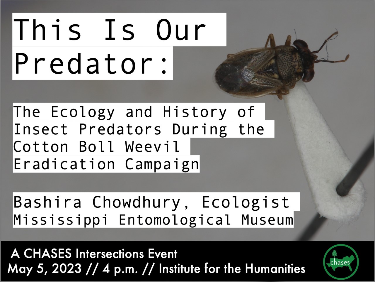 CHASES Sponsors an Intersections Event: "This Is Our Predator: The Ecology and History of Insect Predators During the Cotton Boll Weevil Eradication Campaign" By Dr. Bashira Chowdhury. Friday, May 5, 2023 at 4 pm at Institute for the Humanities.